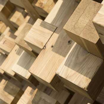 Expo Milano 2015 materials tour: wood